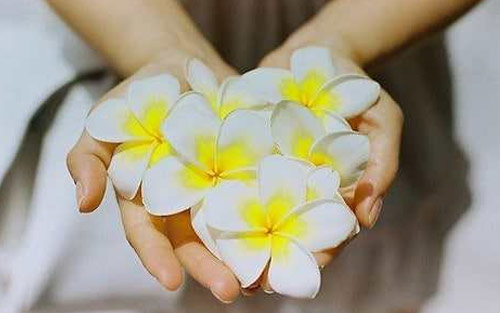  牛扒意大利语怎么说