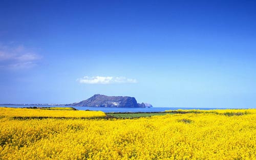 意大利语怎样说包裹