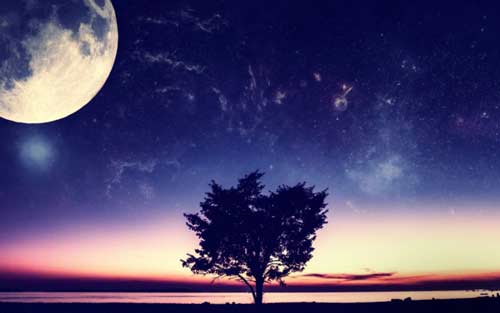 日语现在怎么说