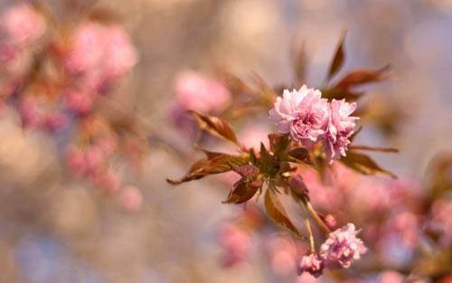 法语阳光怎么说