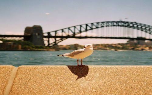 阳光的法语怎么说