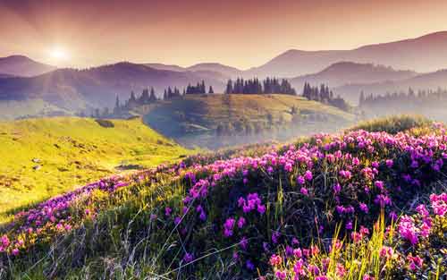 期待的日语怎么说