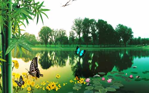 期待的日语如何说