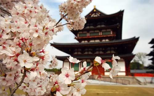 学习日语要多长时间