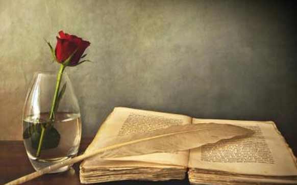 粤语发音---复韵母 ai éi ao ou