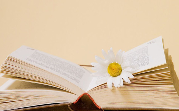 心地善良葡萄牙语怎么说