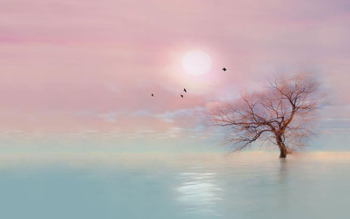 为什么学习韩语