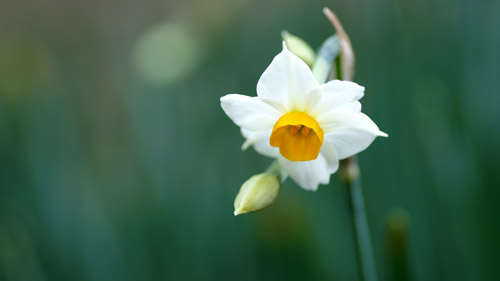 自学五十音图常见错误