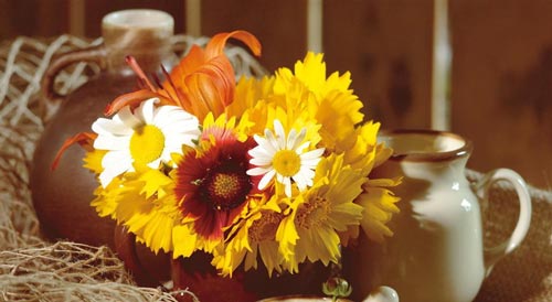 早上好日语怎么说