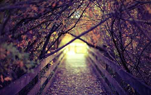 日语的健康怎么说