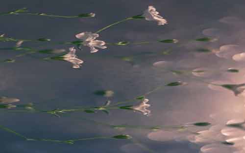 俄语的学习建议