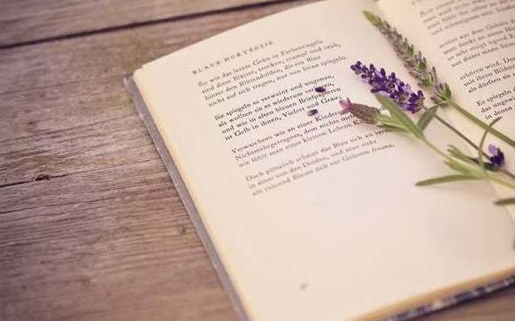 中秋节葡萄牙语怎么说