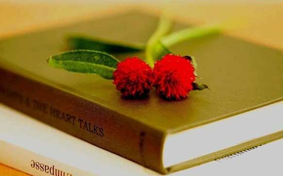 中秋节快乐用葡萄牙语怎么说