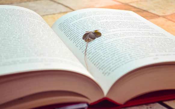 粤语的却怎么说