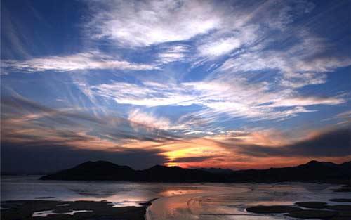 关于怎样学好意大利语