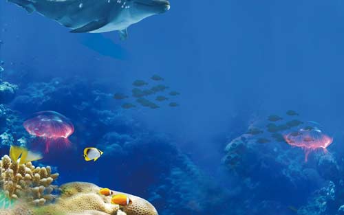 怎样学好意大利语