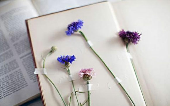 俄语说我爱你怎么说