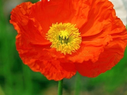 从零基础到日语一级要多久