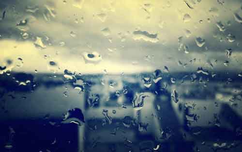 意大利语怎么说知识