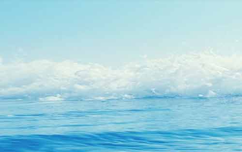 知识用意大利语怎么说