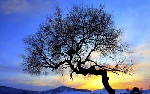 学习俄语的方法