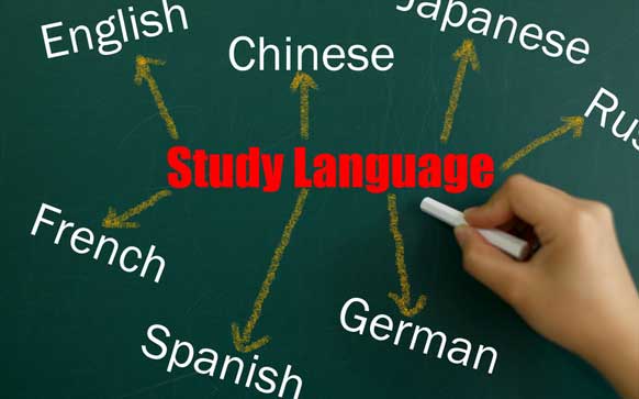 如何坚持背德语单词