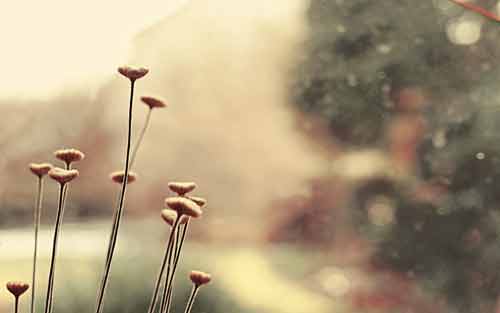 我们为什么要学德语