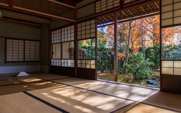 日语常见礼貌用语