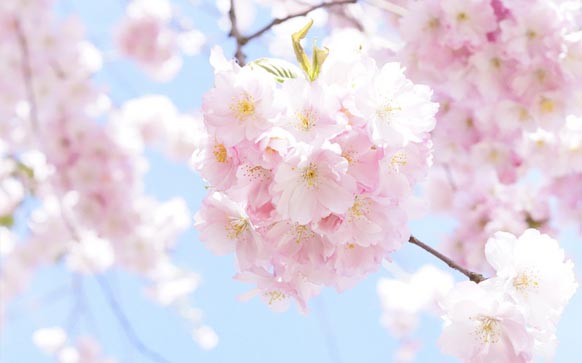 提高日语听力的方法