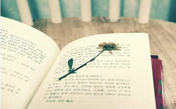 俄语复习的技巧