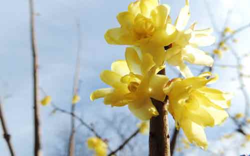 雨在日语如何说