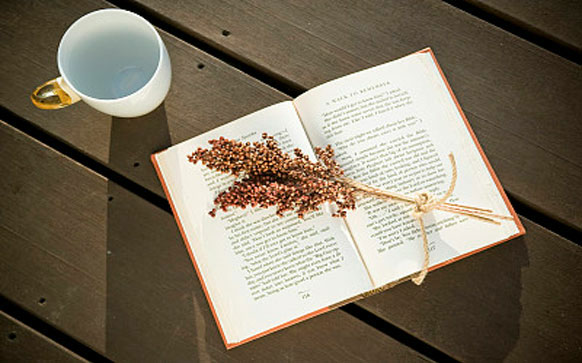 俄语价钱怎么说