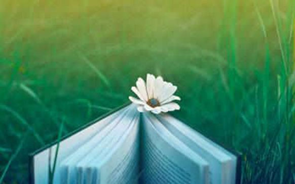 提高俄语阅读方法