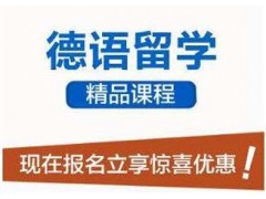 天津B1德国留学直通课程