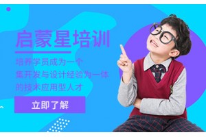 沈阳北大青鸟启蒙星培训