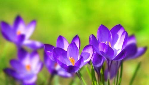 在职研究生考试报名