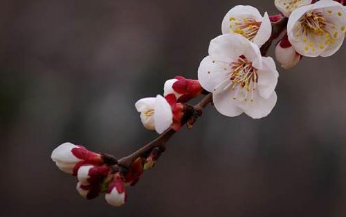 考研政治包括什么