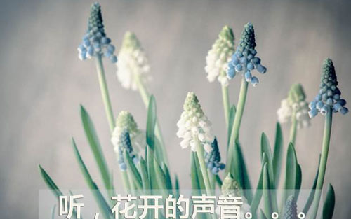 专科学历如何考研