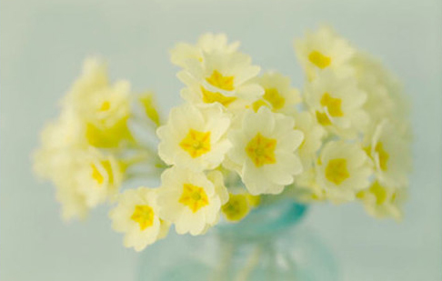 本科园艺专业考研方向