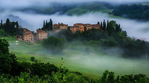 本科生物科学考研方向