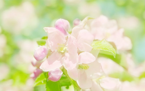 本科学会计考研方向