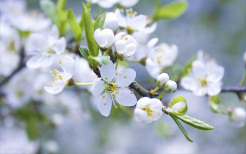 怎么提高考研英语作文水平