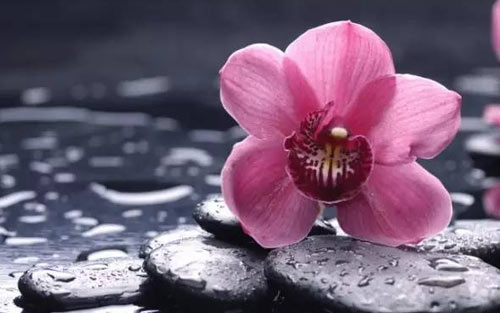 本科国贸考研方向