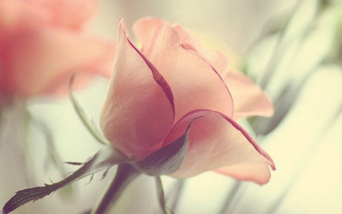 国贸本科生考研方向