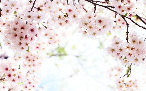 心理学考研复习方法