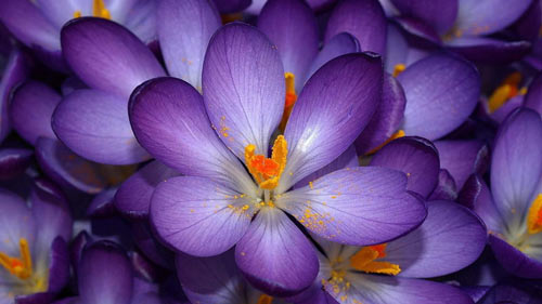 本科学法学的考研方向