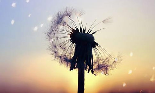 大三学生如何备考考研