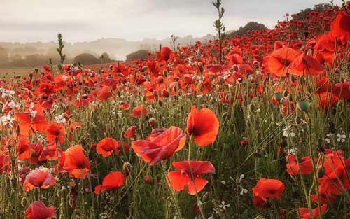 大二人如何备考考研英语