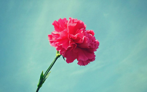 本科医学检验考研方向