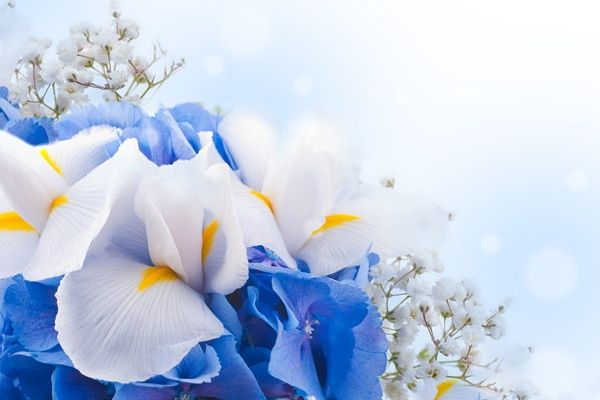 本科学护理学考研方向